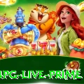 14pg Live Prime
