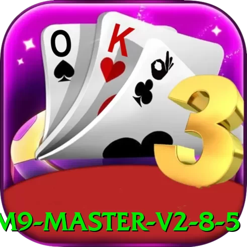 hhhm9 Master v2.8.5 - pak